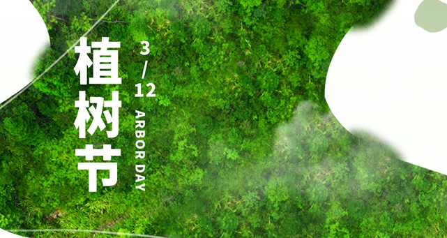 植樹節(jié)，種下一抹綠，收獲新希望